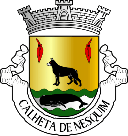 Brasão da freguesia de Calheta de Nesquim - Calheta de Nesquim civil parish, coat-of-arms