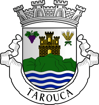 Brasão do Município de Tarouca - Tarouca municipal coat-of-arms