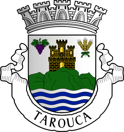 Brasão do Município de Tarouca - Tarouca municipal coat-of-arms