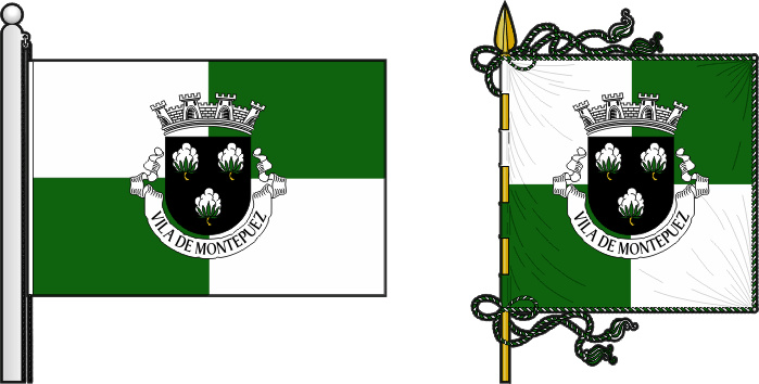Bandeira e estandarte do Concelho de Montepuez - Montepuez municipal flag and banner Bandeira e estandarte do Concelho de Montepuez - Montepuez municipal flag and banner