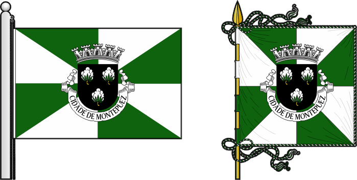 Bandeira e estandarte do Concelho de Montepuez - Montepuez municipal flag and banner Bandeira e estandarte do Concelho de Montepuez - Montepuez municipal flag and banner