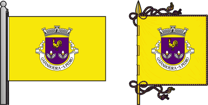 Bandeira e estandarte da antiga freguesia de Gafanhoeira (São Pedro) - Gafanhoeira (São Pedro) former civil parish, flag and banner Bandeira e estandarte da antiga freguesia de Gafanhoeira (São Pedro) - Gafanhoeira (São Pedro) former civil parish, flag and banner