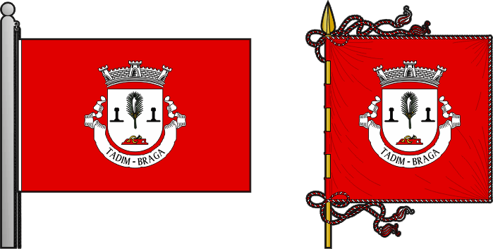 Bandeira e estandarte da freguesia de Tadim - Tadim civil parish, flag and banner