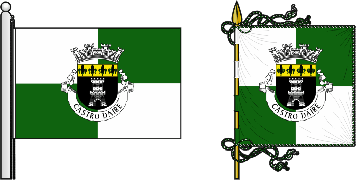 Bandeira e estandarte do Município de Castro Daire - Castro Daire municipal flag and banner