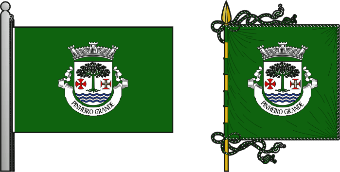 Bandeira e estandarte da antiga freguesia de Pinheiro Grande - Pinheiro Grande former civil parish, flag and banner Bandeira e estandarte da antiga freguesia de Pinheiro Grande - Pinheiro Grande former civil parish, flag and banner