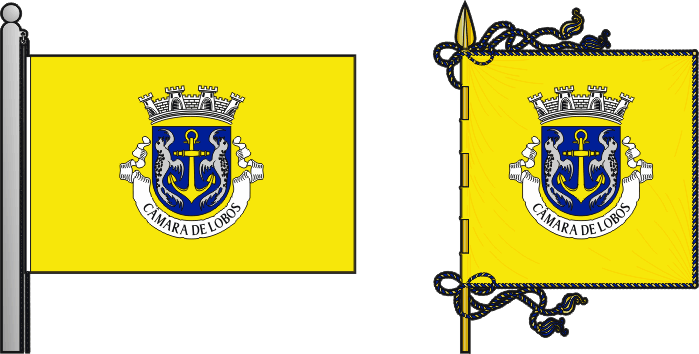 Bandeira e estandarte do Município de Câmara de Lobos - Câmara de Lobos municipal flag and banner