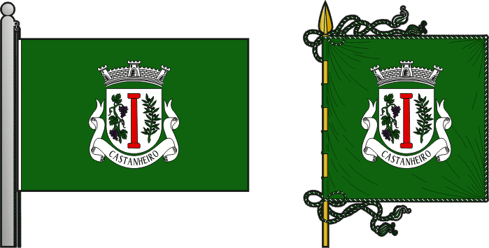 Bandeira e estandarte da antiga freguesia de Castanheiro - Castanheiro former civil parish, flag and banner Bandeira e estandarte da antiga freguesia de Castanheiro - Castanheiro former civil parish, flag and banner