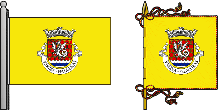 Bandeira e estandarte da antiga freguesia de Várzea - Várzea former civil parish, flag and banner