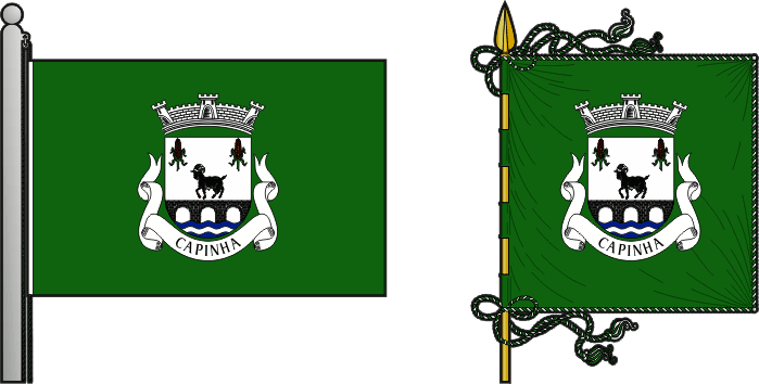 Bandeira e estandarte da freguesia de Capinha - Capinha civil parish, flag and banner Bandeira e estandarte da freguesia de Capinha - Capinha civil parish, flag and banner