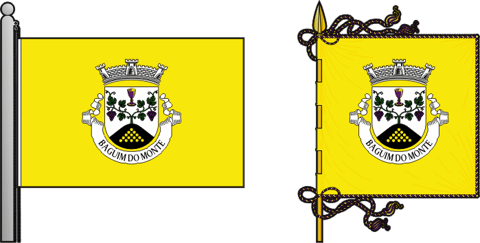 Bandeira e estandarte da freguesia de Baguim do Monte - Baguim do Monte civil parish, flag and banner