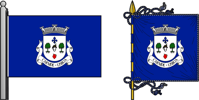 Bandeira e estandarte da freguesia de Carnide - Carnide civil parish, flag and banner Bandeira e estandarte da freguesia de Carnide - Carnide civil parish, flag and banner