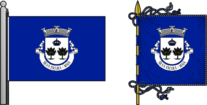 Bandeira e estandarte da antiga freguesia de Silva Escura - Silva Escura former civil parish, flag and banner Bandeira e estandarte da antiga freguesia de Silva Escura - Silva Escura former civil parish, flag and banner