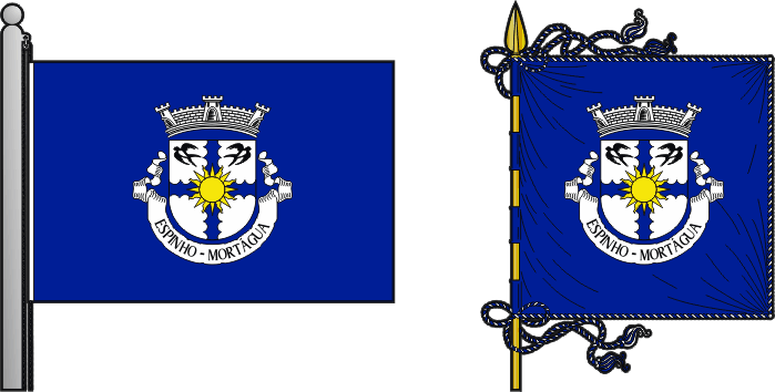 Bandeira e estandarte da freguesia de Espinho - Espinho civil parish, flag and banner Bandeira e estandarte da freguesia de Espinho - Espinho civil parish, flag and banner