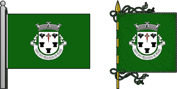 Bandeira e estandarte da União das freguesias de Pegões - Pegões civil parishes union flag and banner Bandeira e estandarte da União das freguesias de Pegões - Pegões civil parishes union flag and banner