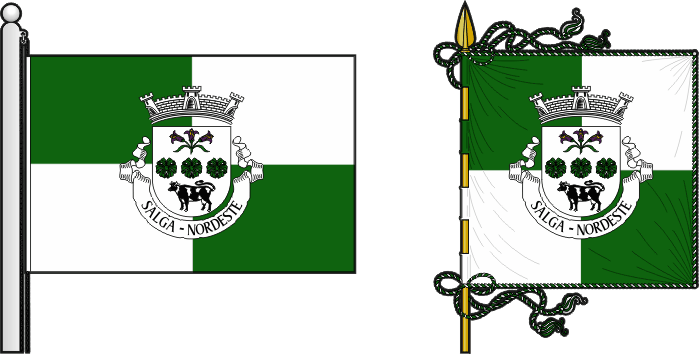 Bandeira e estandarte da freguesia de Salga - Salga civil parish, flag and banner