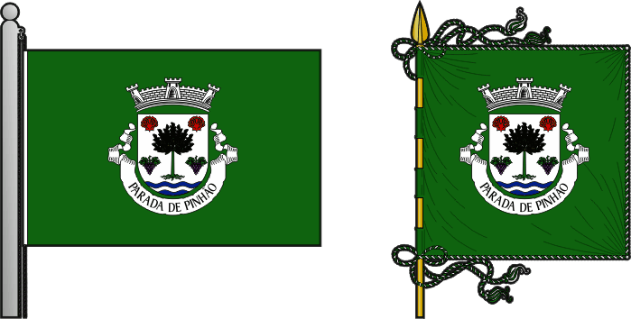 Bandeira e estandarte da freguesia de Parada de Pinhão - Parada de Pinhão civil parish, flag and banner