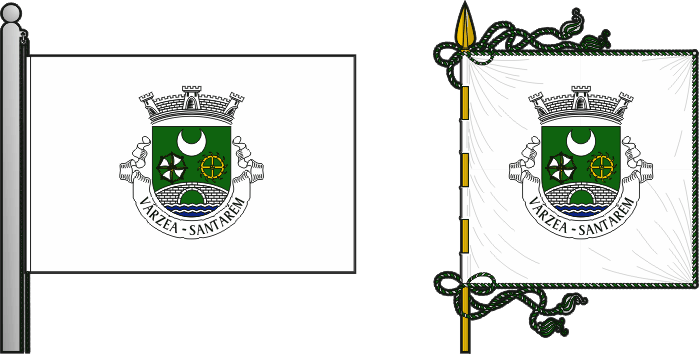 Bandeira e estandarte da antiga freguesia de Várzea - Várzea former civil parish, flag and banner Bandeira e estandarte da antiga freguesia de Várzea - Várzea former civil parish, flag and banner