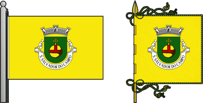 Bandeira e estandarte da antiga freguesia de São Salvador do Campo - São Salvador do Campo former civil parish, flag and banner