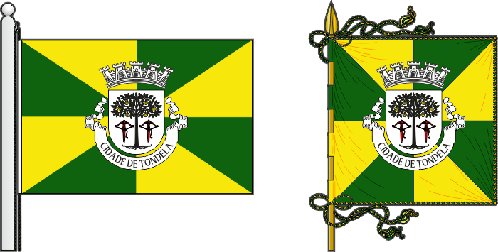 Bandeira e estandarte do Município de Tondela - Tondela municipal flag and banner