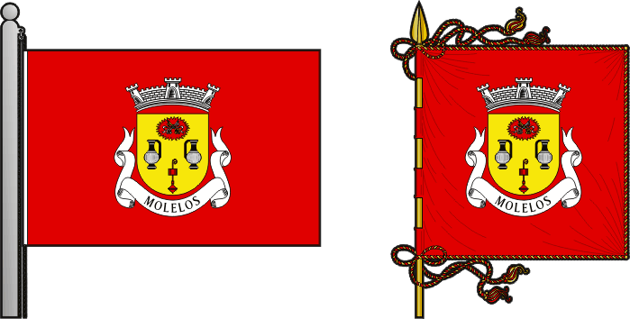 Bandeira e estandarte da freguesia de Molelos - Molelos civil parish, flag and banner Bandeira e estandarte da freguesia de Molelos - Molelos civil parish, flag and banner