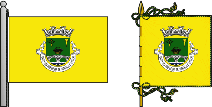 Bandeira e estandarte da União das freguesias de Tondela e Nandufe - Tondela and Nandufe civil parishes union flag and banner Bandeira e estandarte da União das freguesias de Tondela e Nandufe - Tondela and Nandufe civil parishes union flag and banner