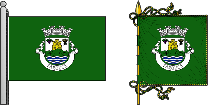 Bandeira e estandarte do Tarouca - Tarouca municipal flag and banner