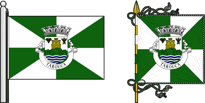 Bandeira e estandarte do Tarouca - Tarouca municipal flag and banner