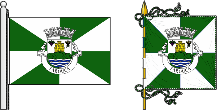 Bandeira e estandarte do Tarouca - Tarouca municipal flag and banner