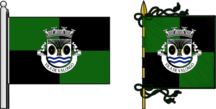 Bandeira e estandarte do Município de Valongo - Valongo municipal flag and banner