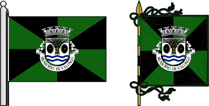 Bandeira e estandarte do Município de Valongo - Valongo municipal flag and banner