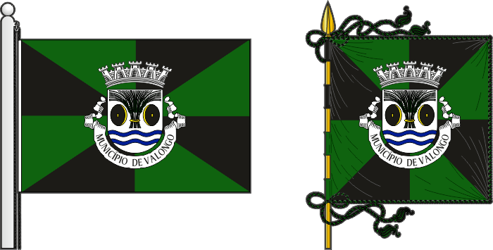 Bandeira e estandarte do Município de Valongo - Valongo municipal flag and banner