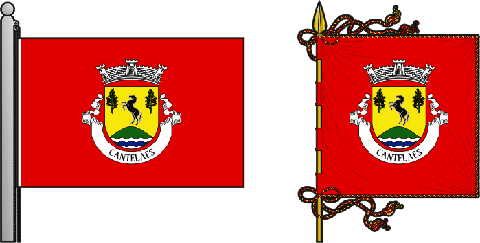 Bandeira e estandarte da freguesia de Cantelães - Cantelães civil parish, flag and banner